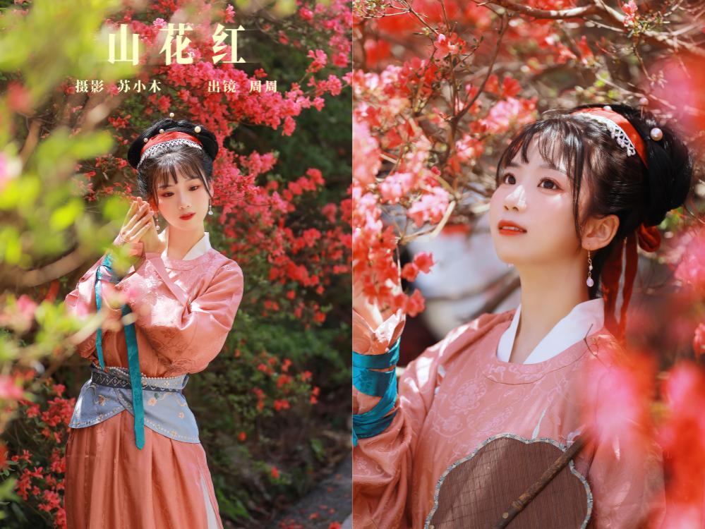 [YITUYU艺图语] 2024.01.19 山花红 周周Ay[24+1P372M]