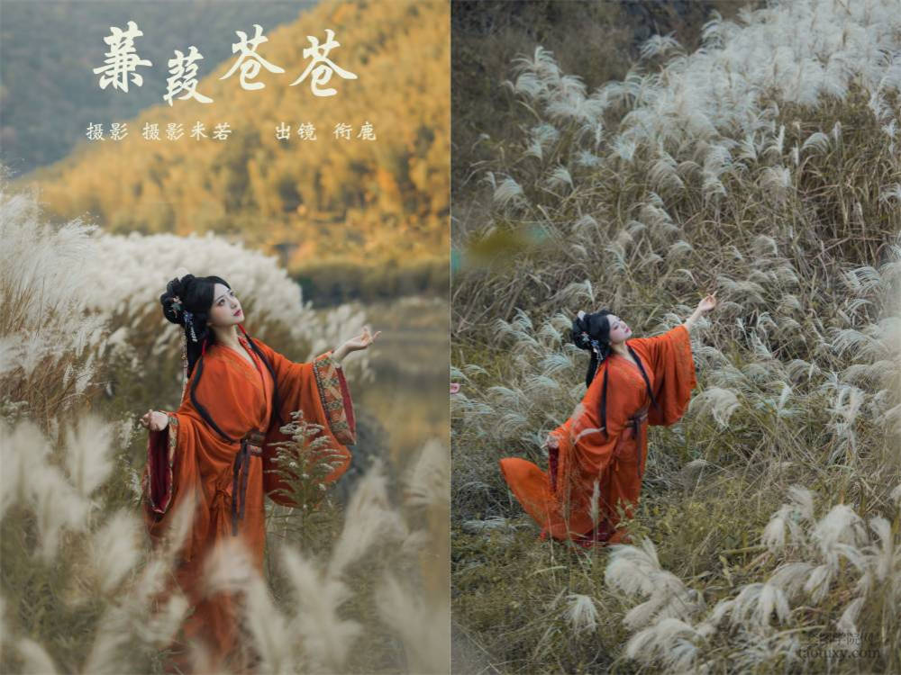 [YITUYU艺图语] NO.5959 2024.03.22 蒹葭苍苍 衔鹿[21+1P341MB]