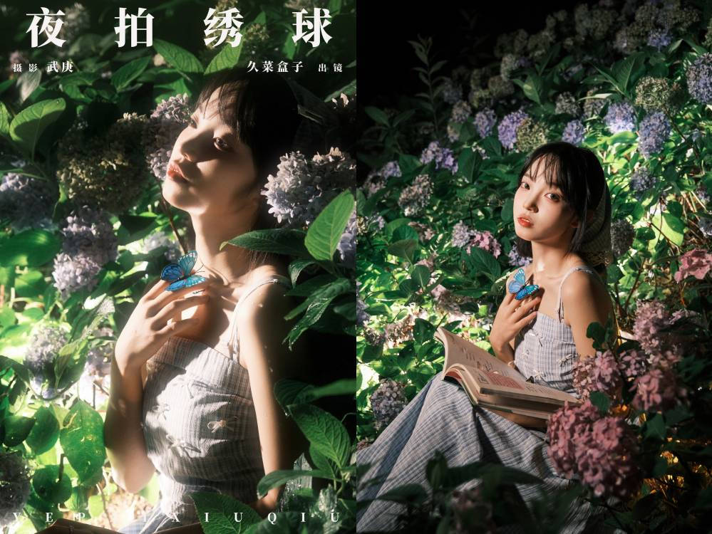 [YITUYU艺图语] NO.6627 2024.08.06 夜拍绣球 久菜盒子[30+1P680MB]