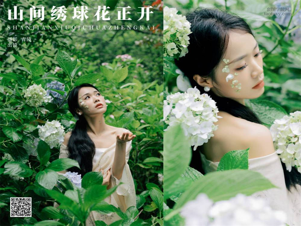 [YITUYU艺图语] NO.6751 2024.08.31 山间绣球花正开 一 [26P342.79MB]
